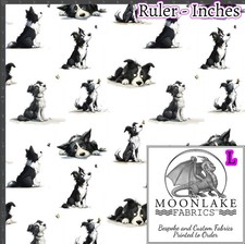 Border Collie Doodles Fabric