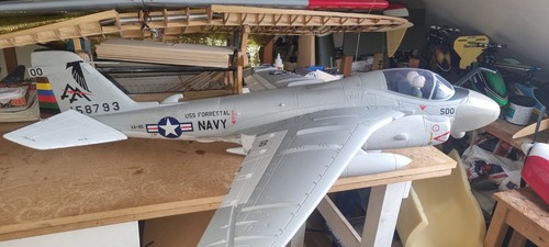 Freewing intruder - freewing, a6