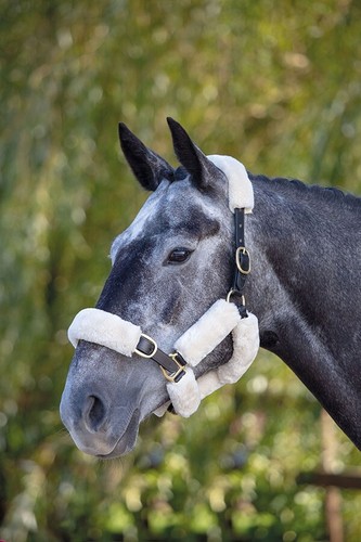 Shires performance supafleece - shires,