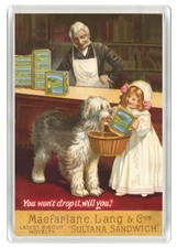 OLD ENGLISH SHEEPDOG BISCUIT