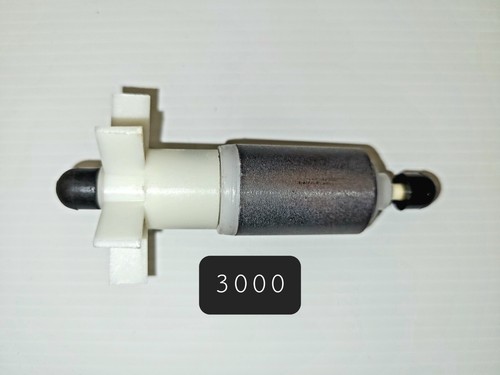 Bermuda 3000 fountain - 3000,