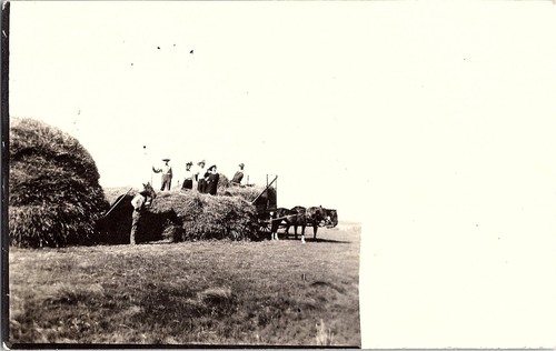 Rppc horse drawn - rppc, hay