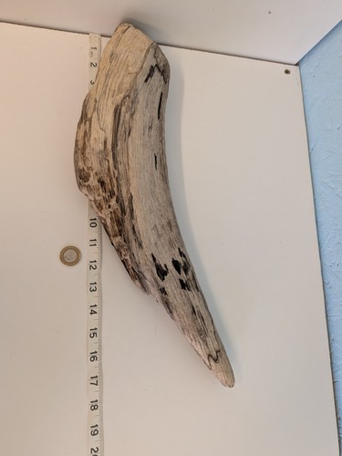Longish chunky driftwood - longish,