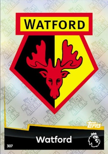 Watford 2018 19 - |, 2018-19
