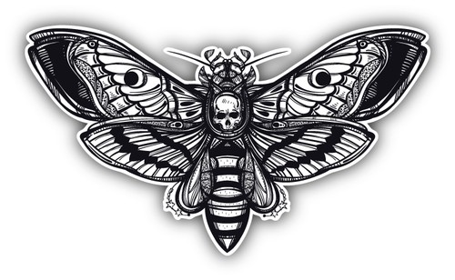 Deaths head hawk - hawk, moth