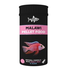 Malawi cichlid pellets fish - cichlid,