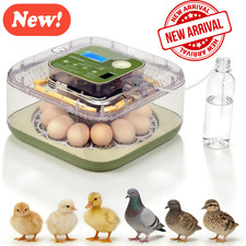 12 Egg Incubator with