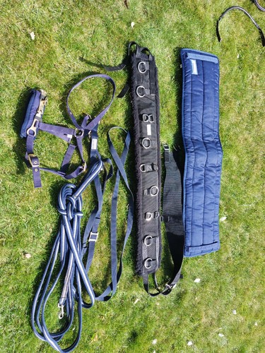 Lungeing combo incl - lungeing, roller