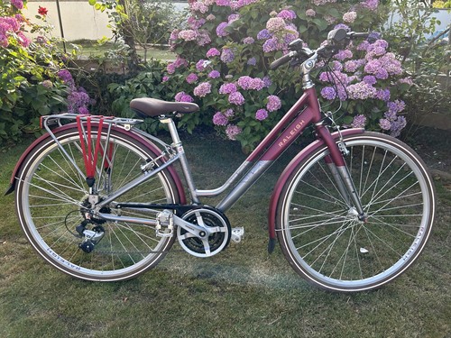 Raleigh pioneer grand - raleigh,