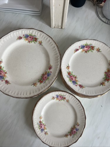Vintage dinner plate - dinner,