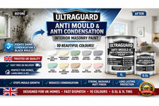 Damp Proof Anti Mould Paint