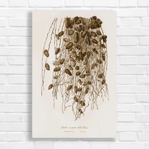 Botanical vintage - vintage,