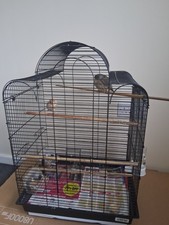 Pair Of Canaries with cage