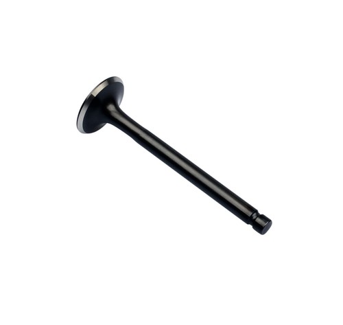 Exhaust valve for suzuki - exhaust,