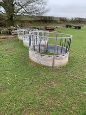 Cattle ring Feeders