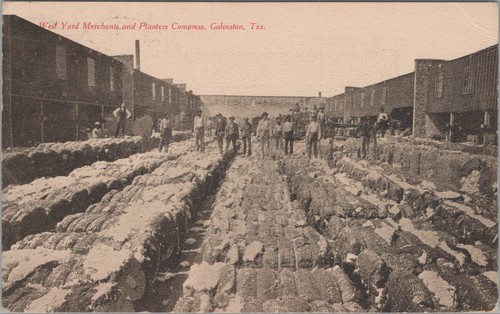 Merchants planters cotton - merchants,