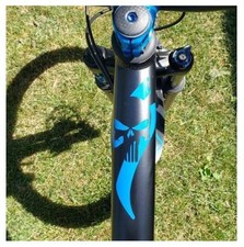 Specialized Punisher Skull