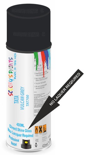 Aerosol spray paint - for, tata
