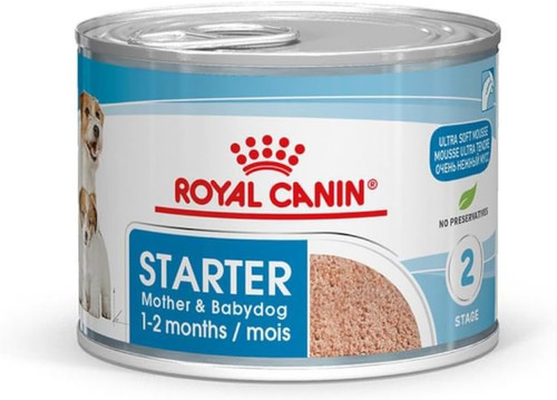 Royal canin starter mousse - canin, 12