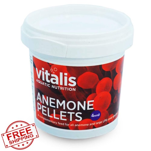 Vitalis marine anemone - vitalis,