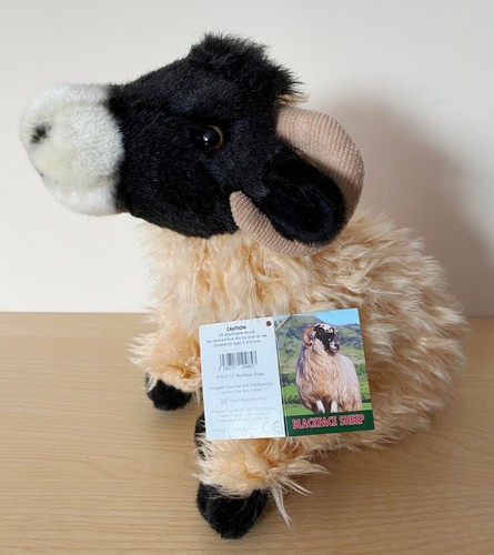 Black faced sheep - black,