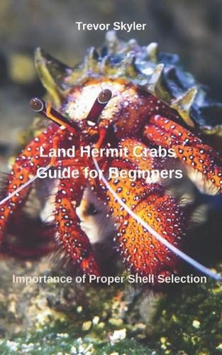 Land hermit crabs - hermit,