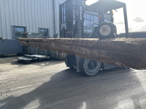 Reclaimed english oak beam - english,
