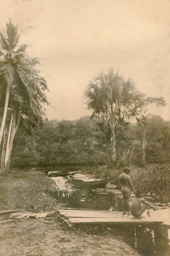 British guiana guyana 1890 - guiana,