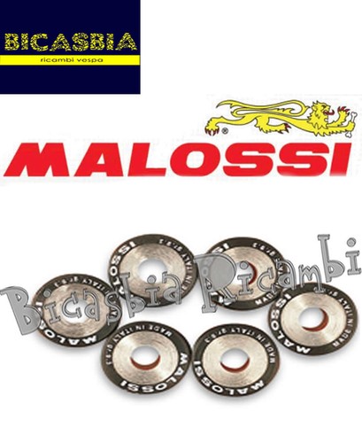 8321 malossi variator - 8321,