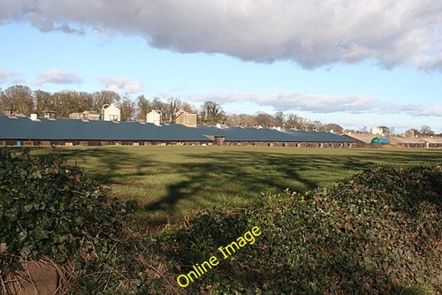 Photo 6x4 poultry farm - photo,