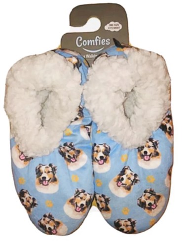 Australian shepherd dog - australian,