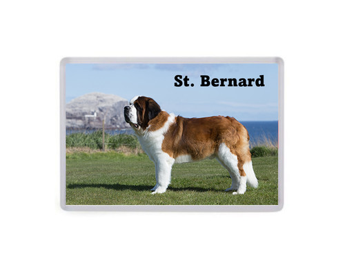 Bernard dog large fridge - dog,