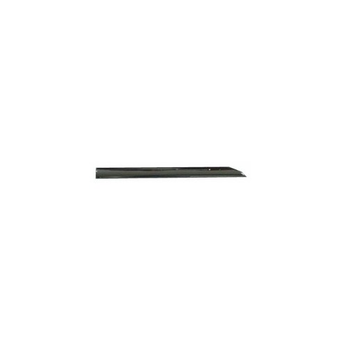 Front door moulding chrome - front,