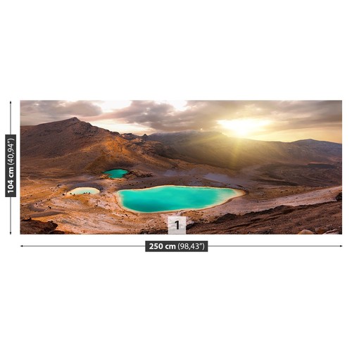 Non woven wall mural photo - non,