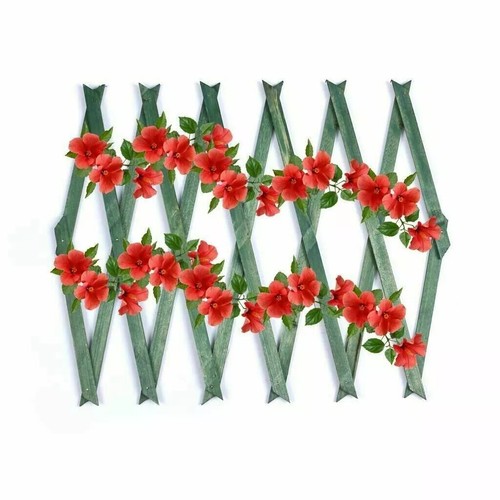 Garden trellis climbing plants - garden,