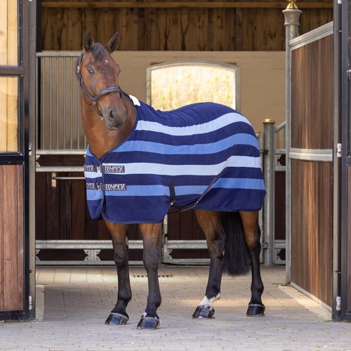 Shires tempest original - tempest,