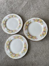 Colclough Bone China Hedgerow