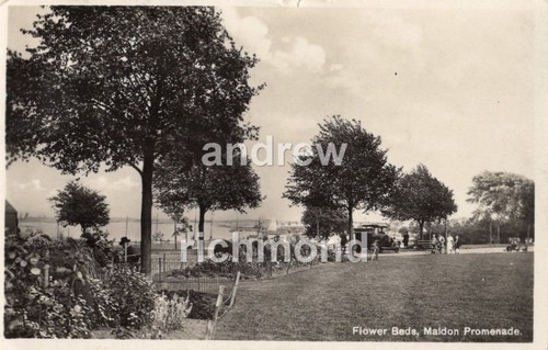Maldon promenade flower beds - maldon,
