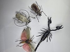 Real Large Insect Collection X 5 A-/A2  Set Specimens. Entomology Collection