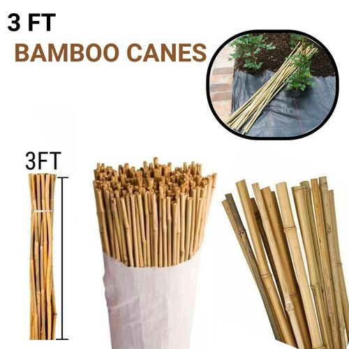 3ft strong bamboo - strong, garden