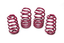 Vogtland Lowering Springs for