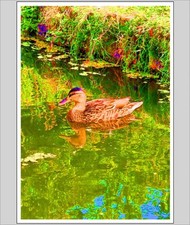 Down By The Riverbank A4 Print