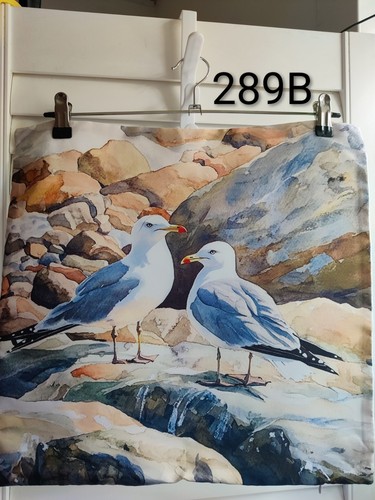 Seagulls rocks soft - rocks,