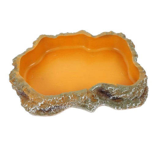 Reptile water bowls amphibian - water,