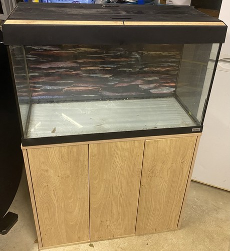 Fluval roma 125l fish tank - fish,