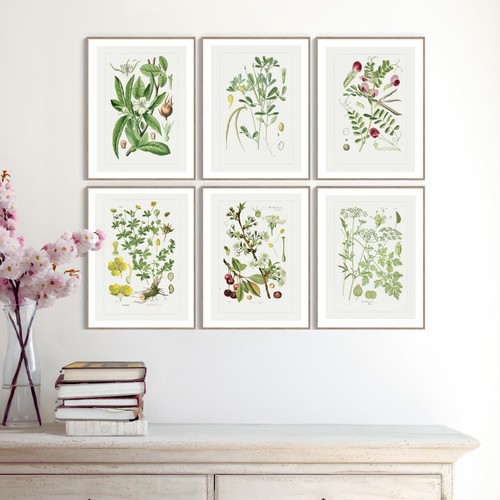 Set kitchen garden art - 6,