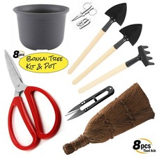 Bonsai tree tool kit, Bonsai