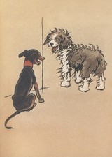 Cecil Aldin Dog Prints The