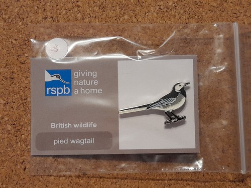 Rspb pied wagtail series - wagtail, 3
