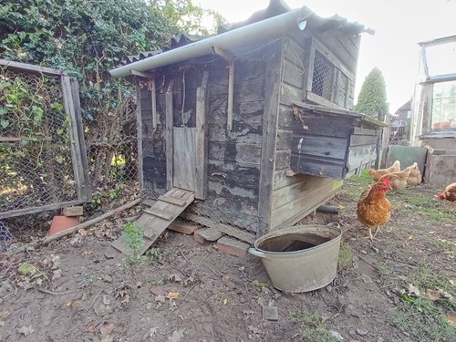 Chicken coop house - coop,